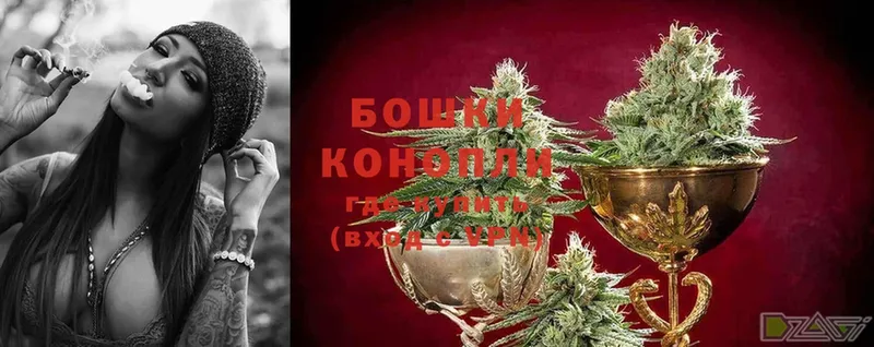 Конопля SATIVA & INDICA  где можно купить   Кашира 